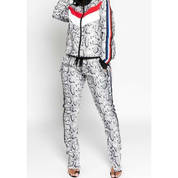 Jogger Set - Picture 1 of 2